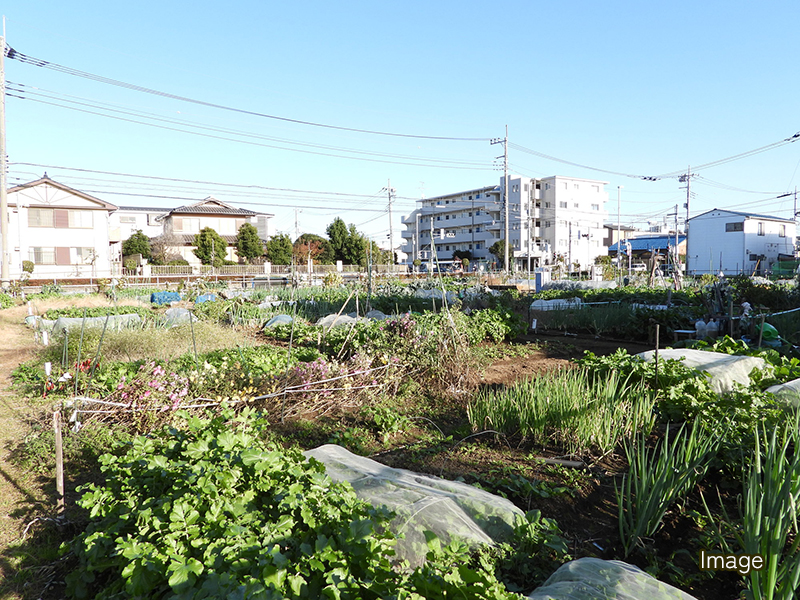 土地の有効活用の提案、販売